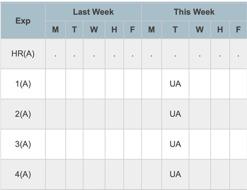 Attendance